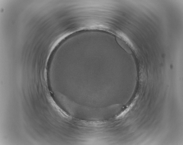 X0000066530932200603241358