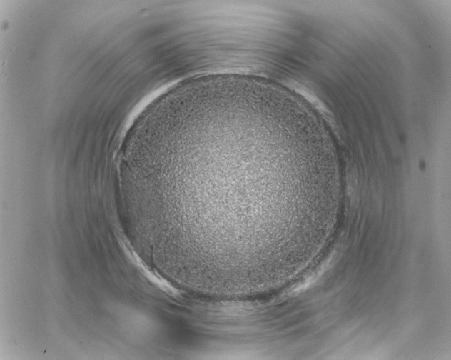 X0000066530933200603241358