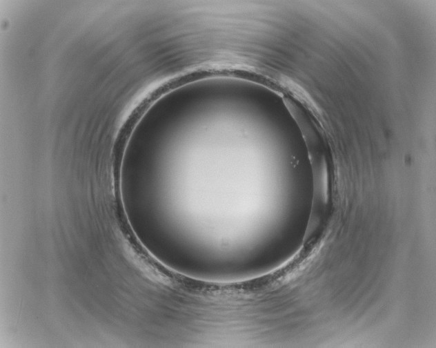 X0000066530934200603241358