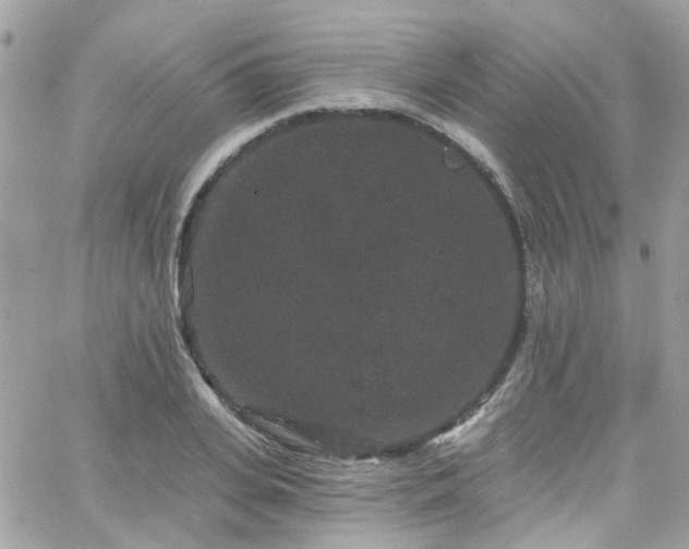 X0000066530935200603241358