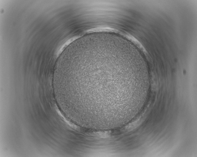 X0000066530937200603241358