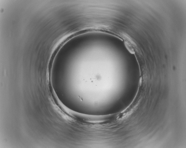 X0000066530940200603241358