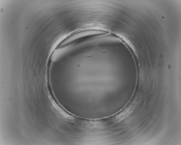 X0000066530941200603241358