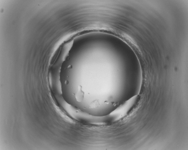 X0000066530942200603241358