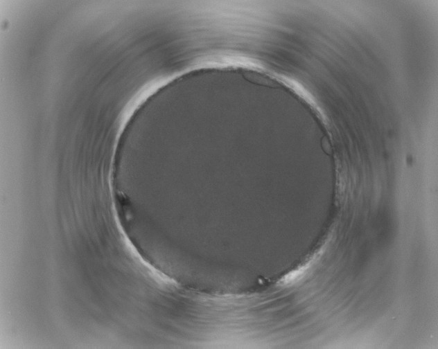 X0000066530943200603241358