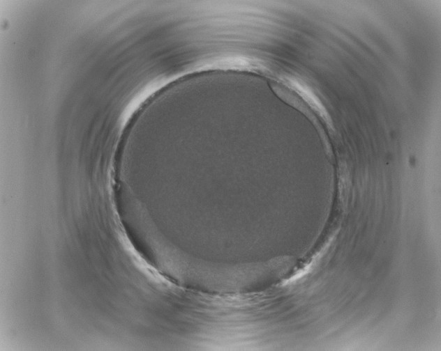 X0000066530944200603241358