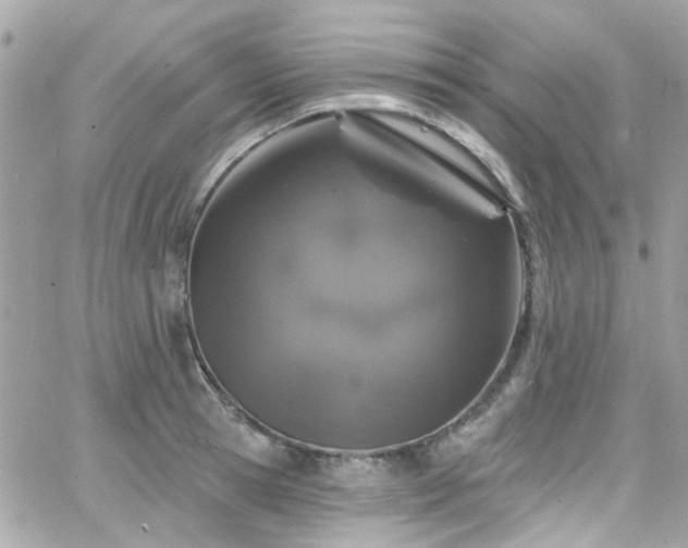 X0000066530945200603241358