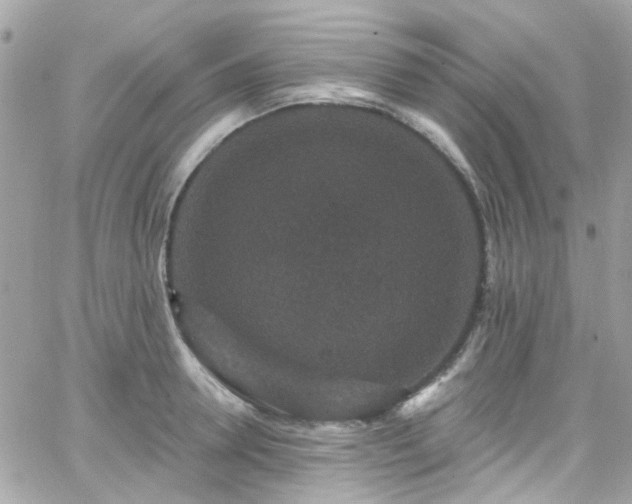 X0000066530946200603241358