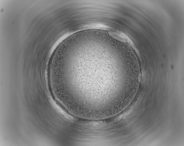 X0000066530947200603241358