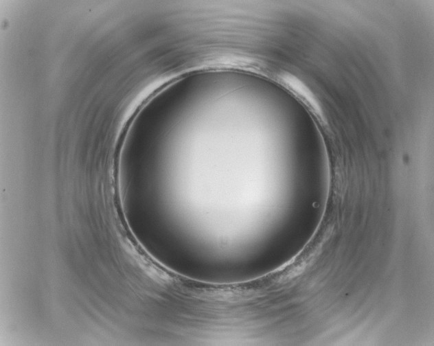 X0000066530948200603241358