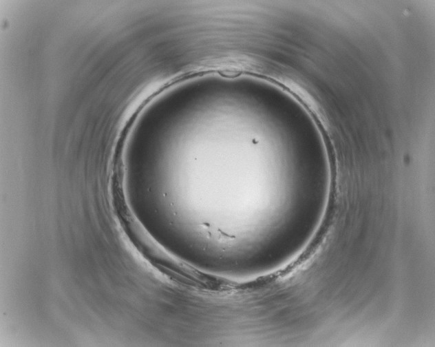 X0000066530949200603241358