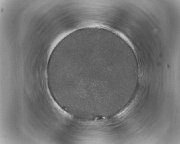 X0000066530951200603241358