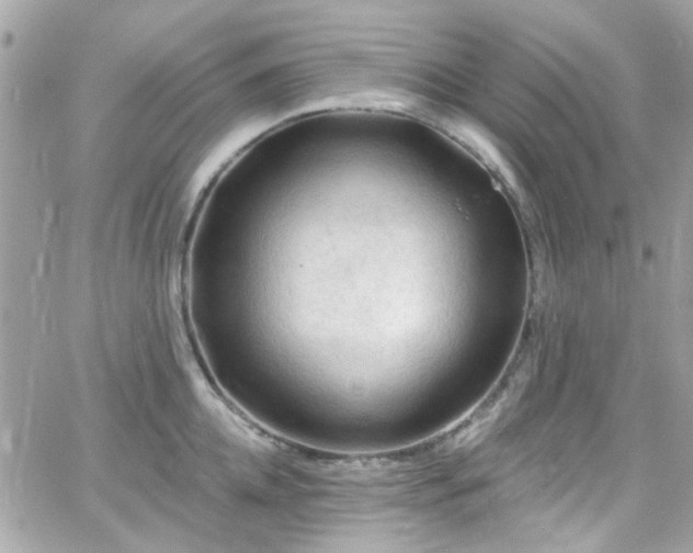 X0000066530952200603241358