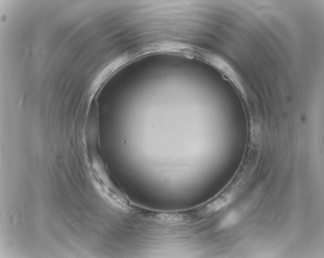 X0000066530954200603241358