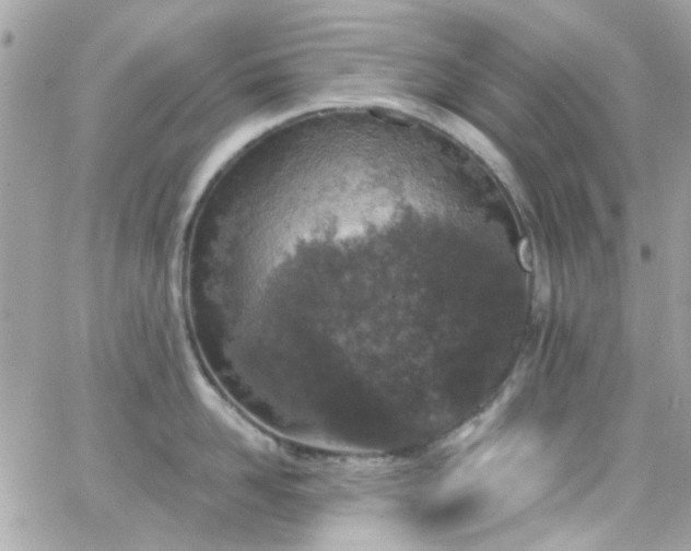 X0000066530958200603241358