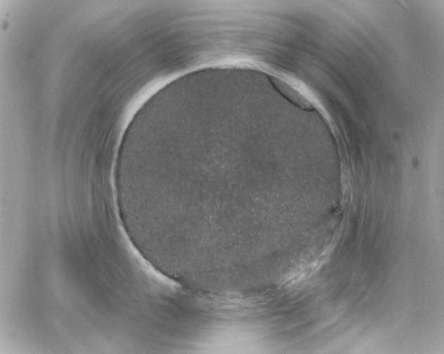 X0000066530959200603241358