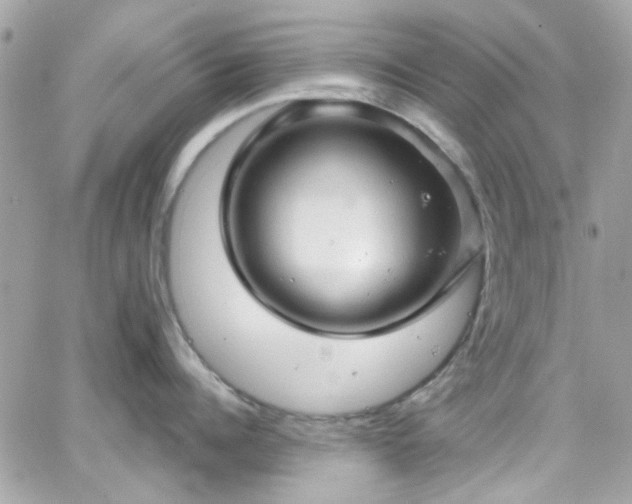 X0000066530960200603241358