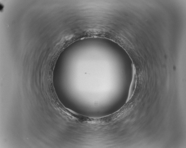 X0000066530961200603241357