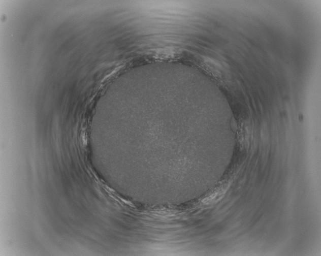 X0000066530962200603241357