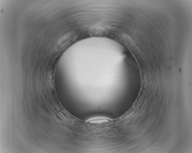 X0000066530964200603241357