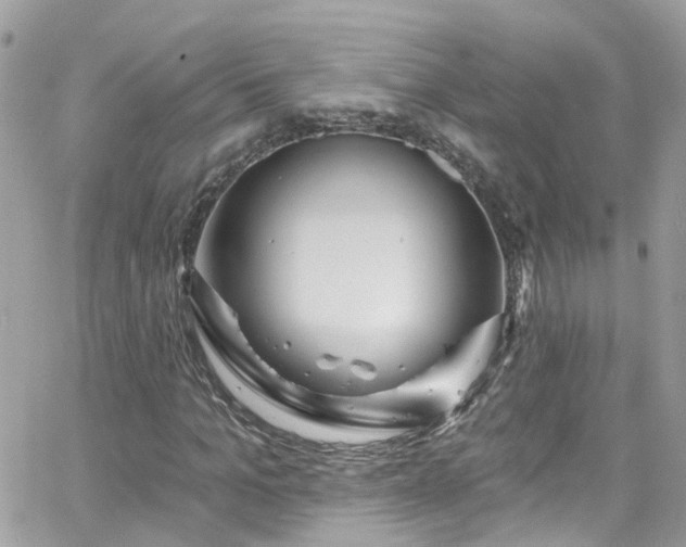 X0000066530965200603241357