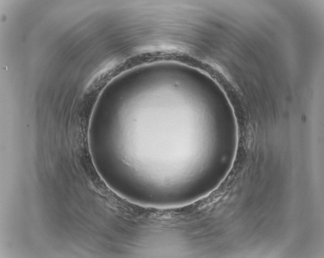 X0000066530967200603241357