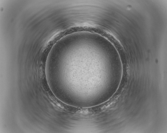 X0000066530968200603241357