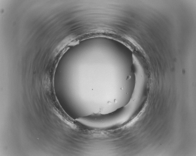 X0000066530969200603241357