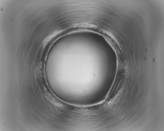 X0000066530971200603241357