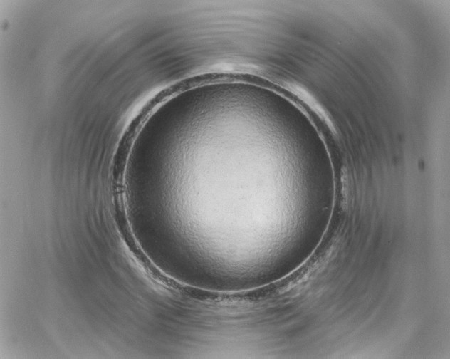 X0000066530972200603241357