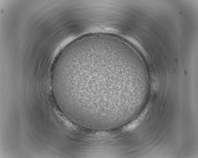 X0000066530974200603241357