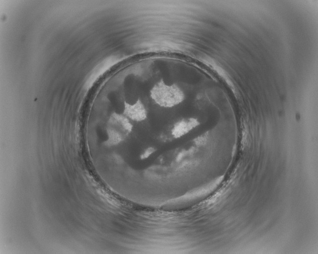 X0000066530975200603241357