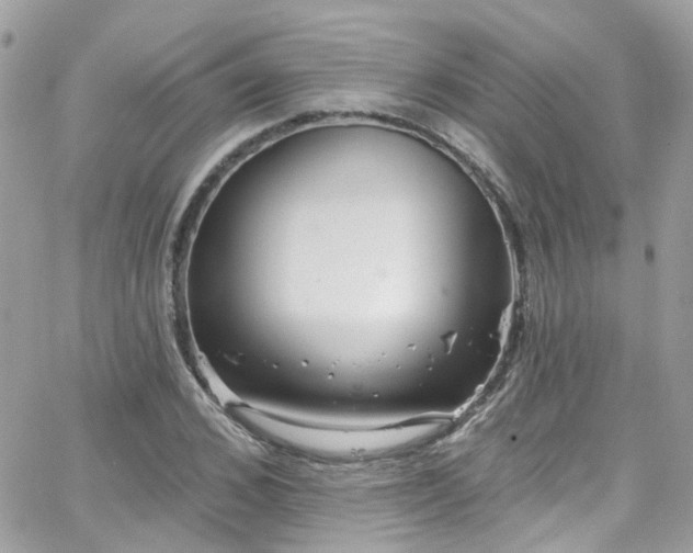 X0000066530976200603241357