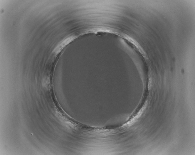 X0000066530977200603241357