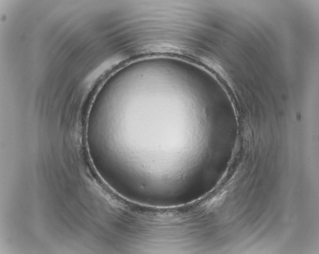 X0000066530979200603241357