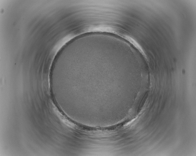 X0000066530980200603241357