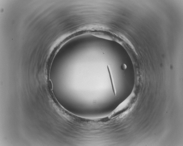 X0000066530981200603241357