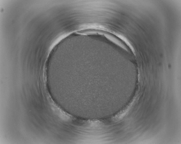 X0000066530983200603241357