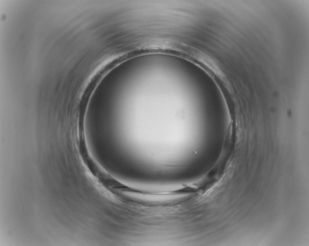 X0000066530984200603241357