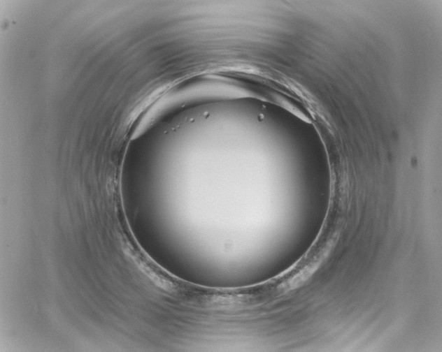 X0000066530985200603241357