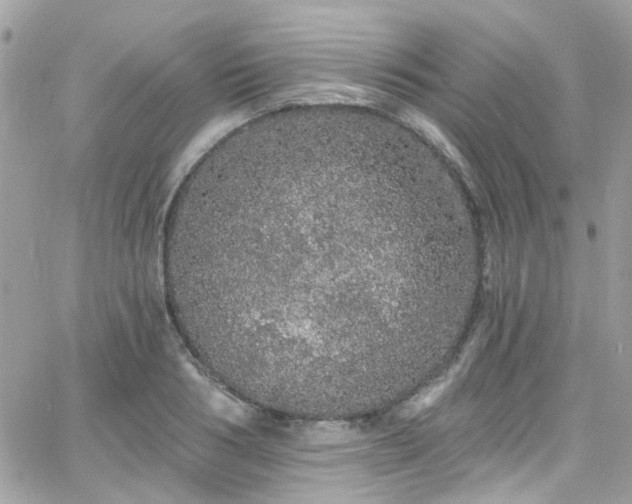 X0000066530986200603241357