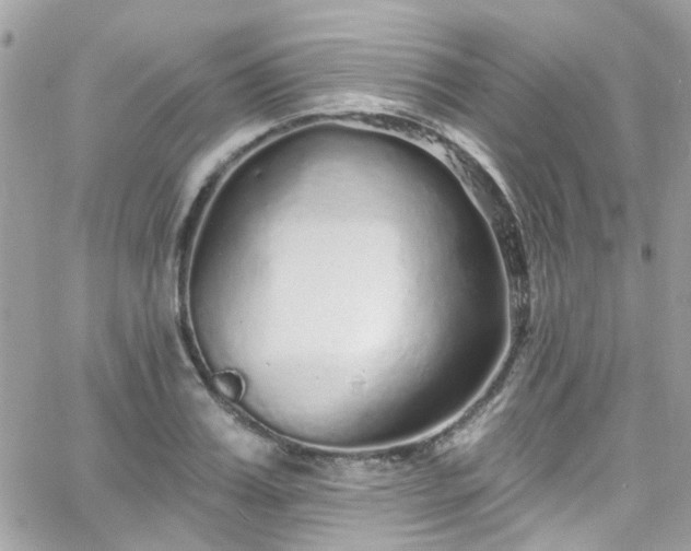 X0000066530987200603241357