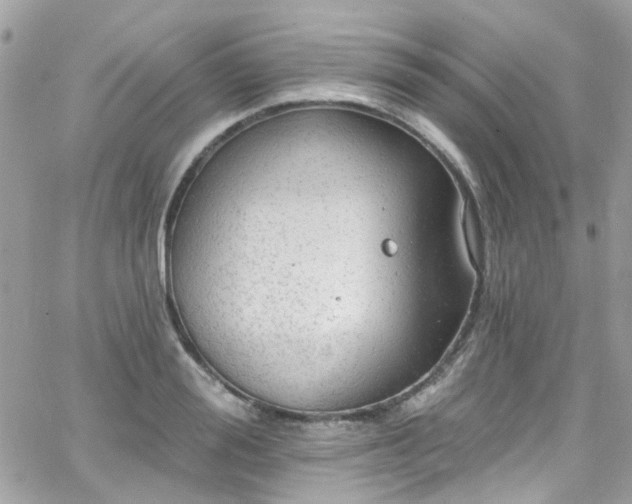 X0000066530988200603241357