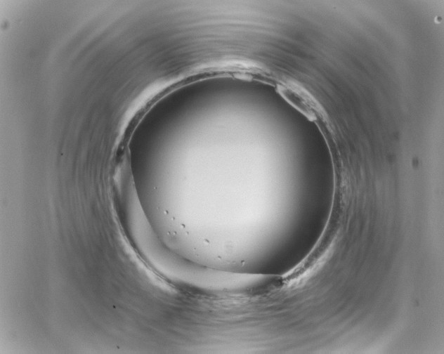 X0000066530989200603241357