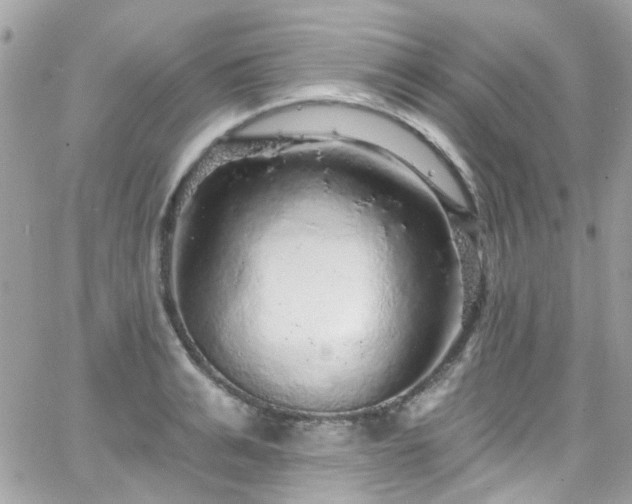 X0000066530991200603241357