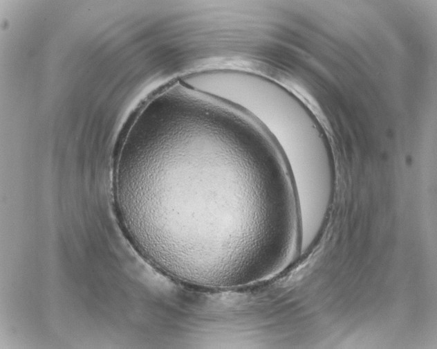 X0000066530992200603241357