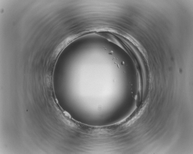 X0000066530993200603241357