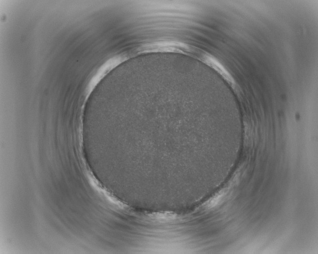 X0000066530994200603241357