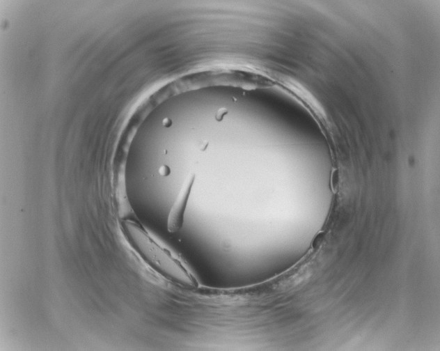 X0000066530996200603241357