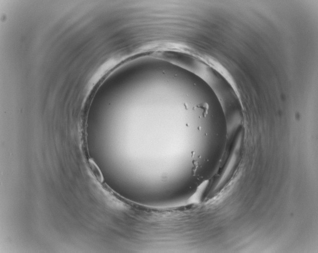 X0000066530997200603241357